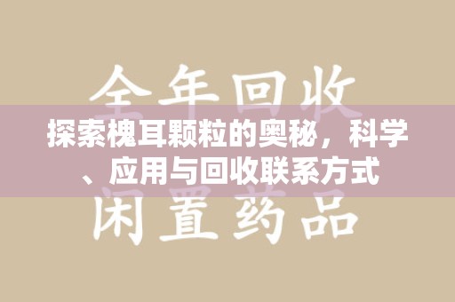 菏泽探索槐耳颗粒的奥秘，科学、应用与回收联系方式