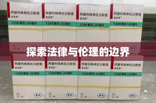 菏泽探索法律与伦理的边界