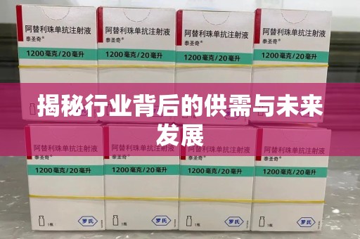 菏泽揭秘行业背后的供需与未来发展