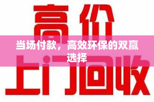 菏泽当场付款，高效环保的双赢选择