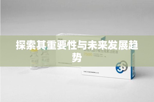 菏泽探索其重要性与未来发展趋势