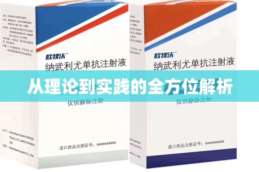 菏泽从理论到实践的全方位解析